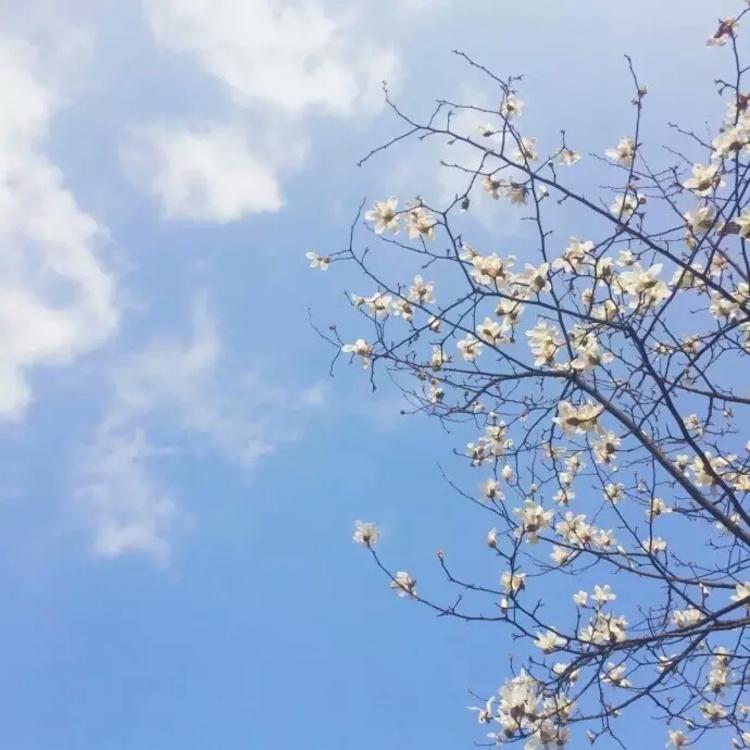 新井赤空（身份：逆刃刀制作者、赠与剑心） - 纪录片4K资源在线观看 - APP追剧